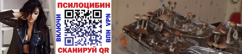 наркошоп  Карабаш  Галлюциногенные грибы мицелий 